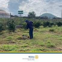 Actividad de servicio 8